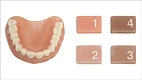 Denture